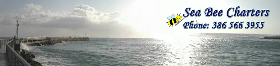 Sea Bee Charters